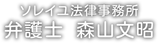 ソレイユ法律事務所 弁護士 森山文昭